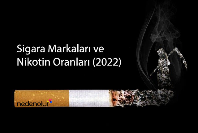 En Çok Tercih Edilen Sigara Markaları Ve Nikotin Oranları (Güncel 2024 ...